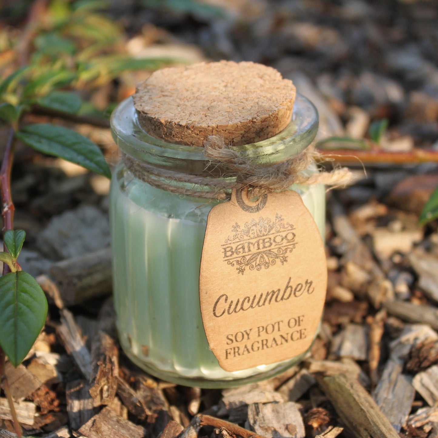 Cucumber Soy Pot of Fragrance Candles ( Pack of Two )
