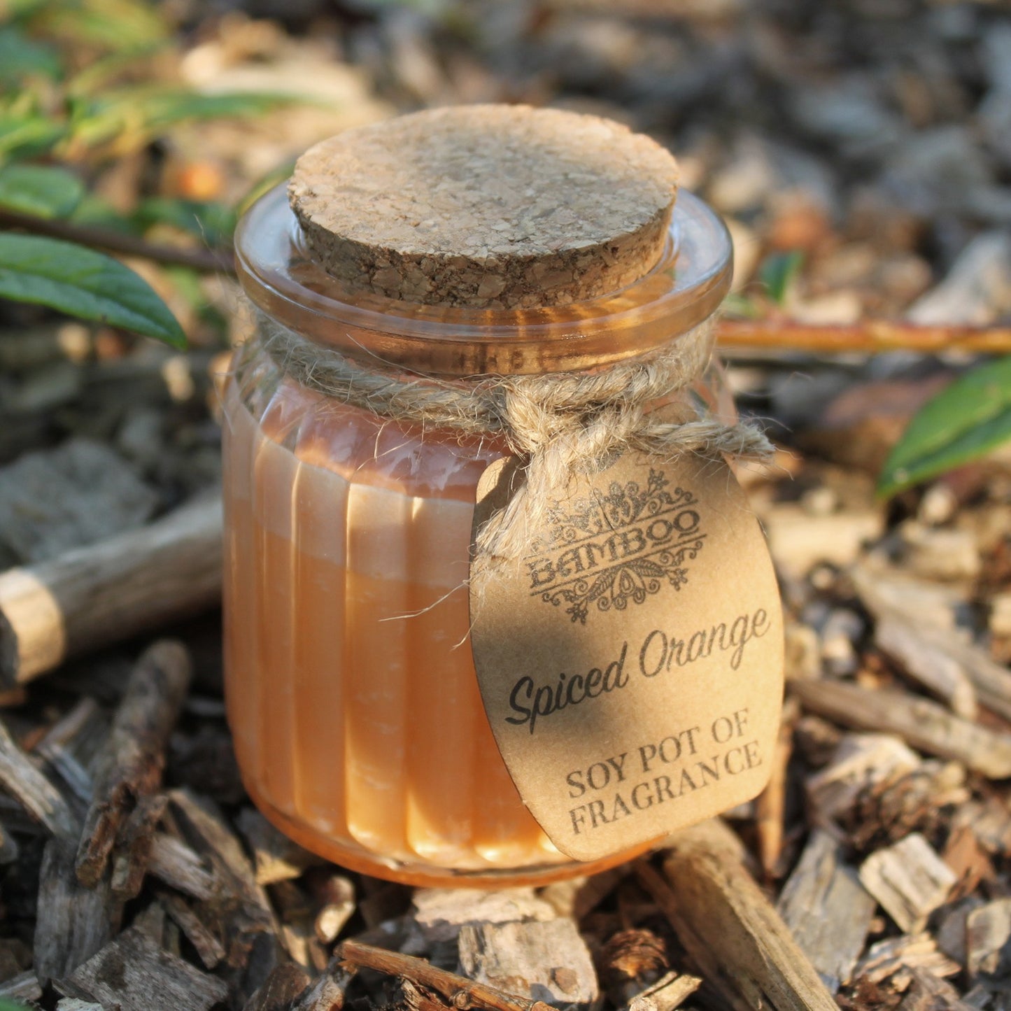 Spiced Orange Soy Pot of Fragrance Candles ( Pack of Two )