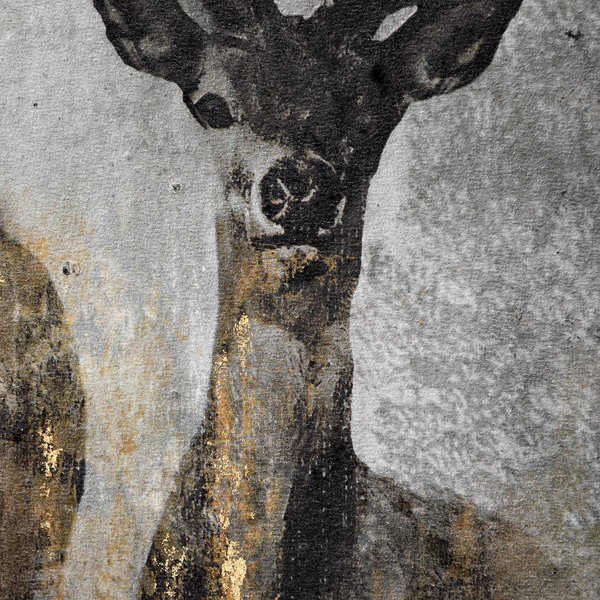 Large Curious Stag Painting on Cement Board Art with Frame