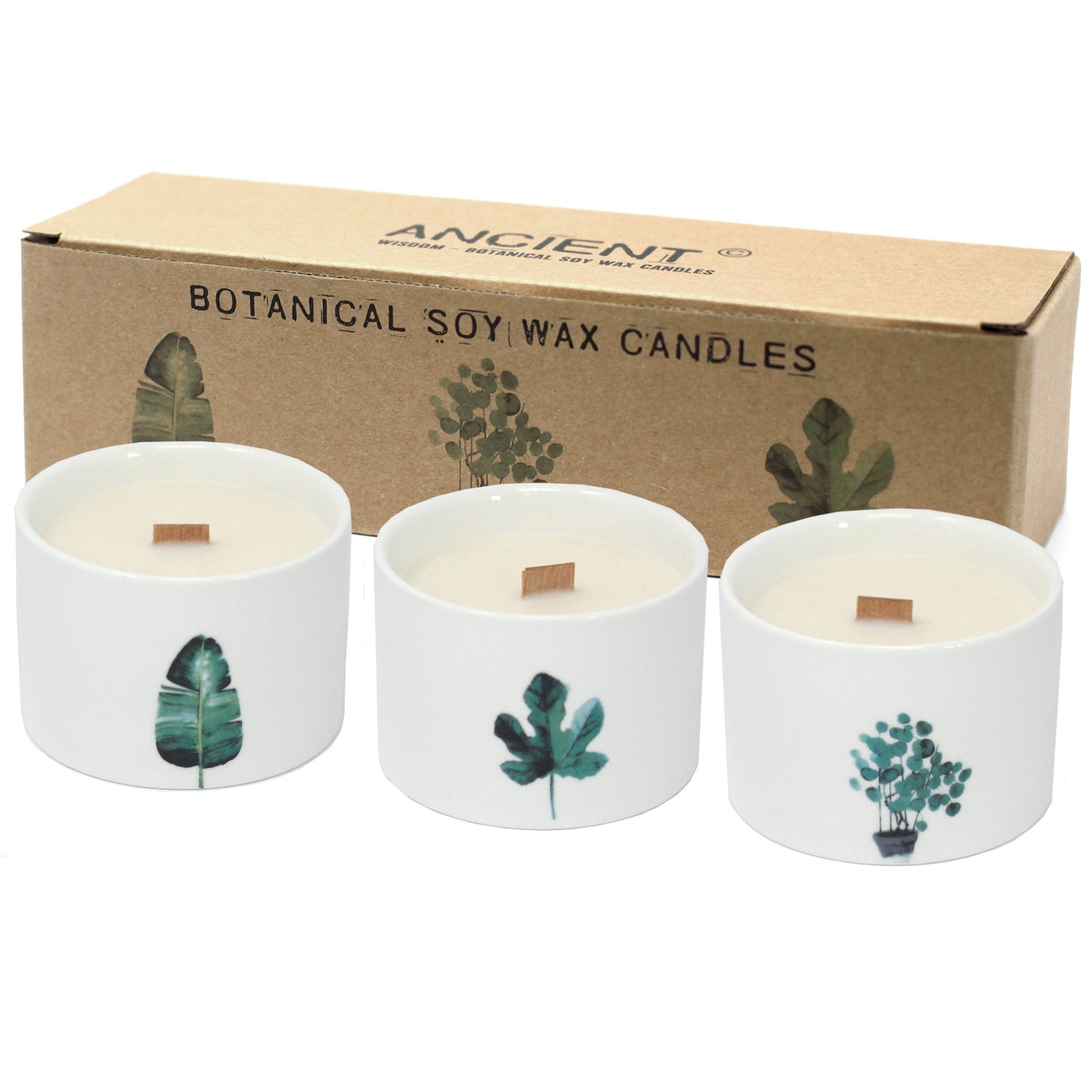 Medium Botanical Candles - Mullberry Harvest