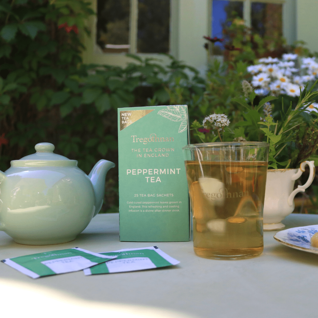 Tregothnan Peppermint Tea (25 Sachets)