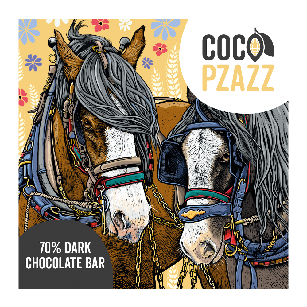 Coco Pzazz 70% Dark Chocolate Bar (80g)