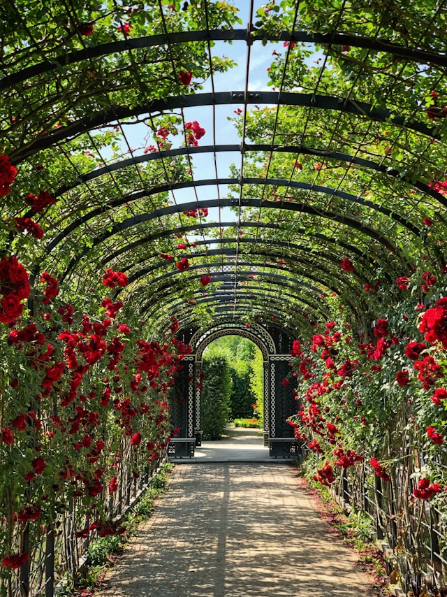 Choosing a Garden that is Perfect for You